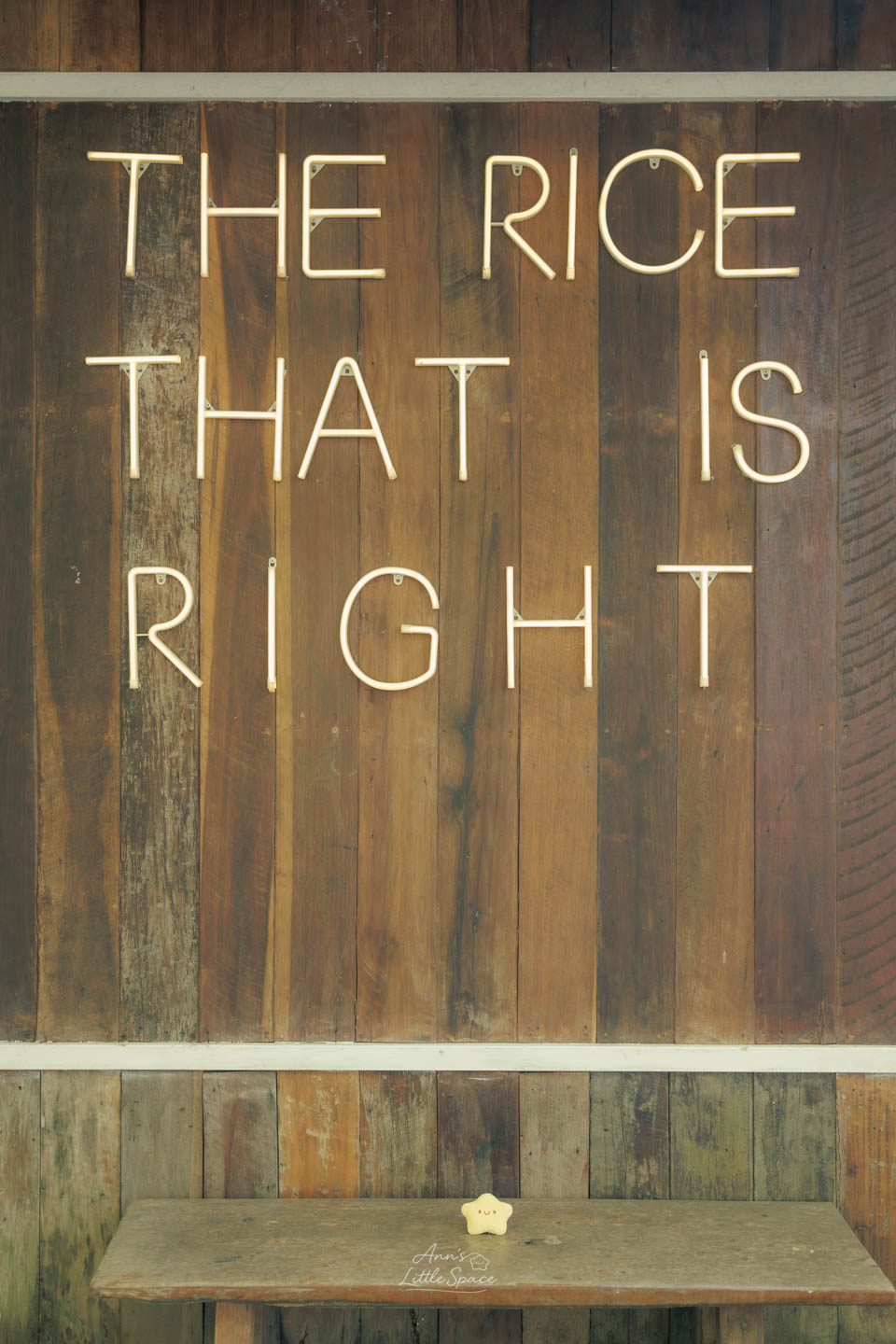 Meena Rice Based Cuisine 品牌標語 “THE RICE THAT IS RIGHT”｜by Ann's Little Space