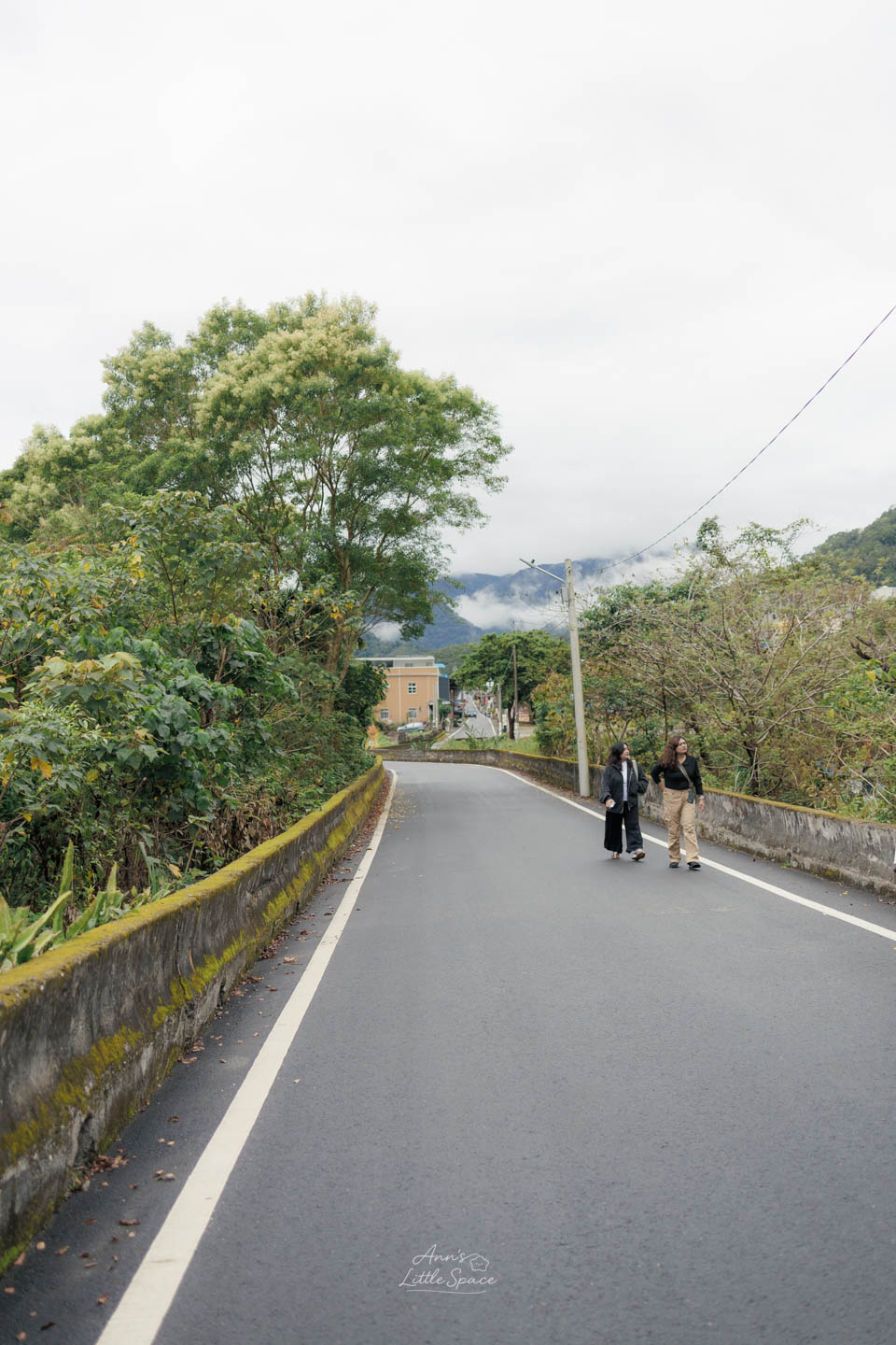 台東土坂部落山路景色，沿著綠意環繞的小徑散步，遠方山谷間飄著白色雲霧。｜by Ann's Little Space