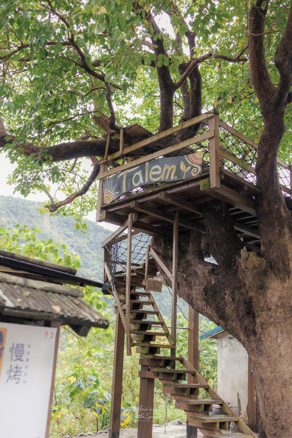台東土坂部落 Talem 樹屋，依附老樹而建的木造空間，承載排灣族小米文化與部落生活記憶。｜by Ann's Little Space