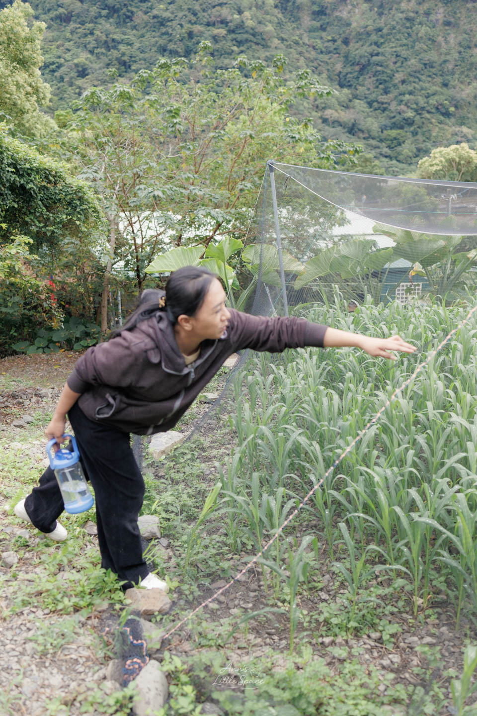 皓菁帶領認識土坂部落小米田，分享排灣族如何透過小米種植、保種與自然觀察延續傳統生活智慧。｜by Ann's Little Space